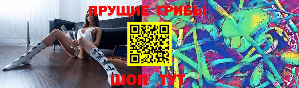 Псилоцибиновые грибы GOLDEN TEACHER Уварово